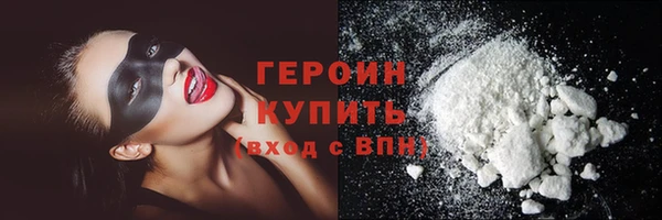 прущие грибы Новозыбков