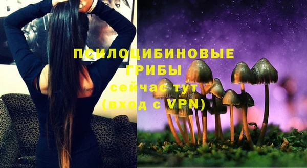 дживик Новодвинск